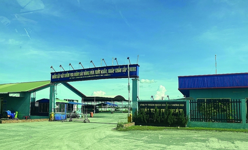 Checkpoint for import and export goods at Khanh Binh border gate, An Giang. Photo: Thu Diu