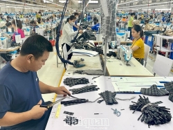 FDI enterprises continue to plan to expand operations in Vietnam