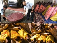 Seizing more than 4.3 tons of Techicai Sitan transporting illegally cross border in Dong Thap