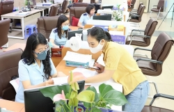 Quang Ninh Customs: “Post clearance audit” to instruct enterprise to comply with regulations