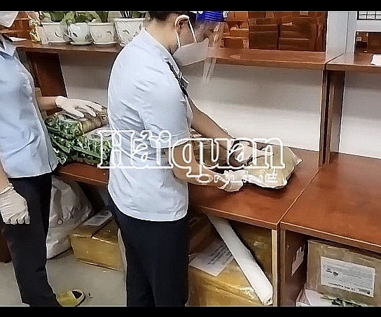Tan Son Nhat International Airport Customs Branch coordinated with Anti-Drug Enforcement Team (HCM City Customs Department) to seize more than 4.6 kg of drugs in September 2021. Photo: H.N