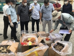 HCM City Customs discovers hundreds of boxes of smuggled goods disguised as blood cockles