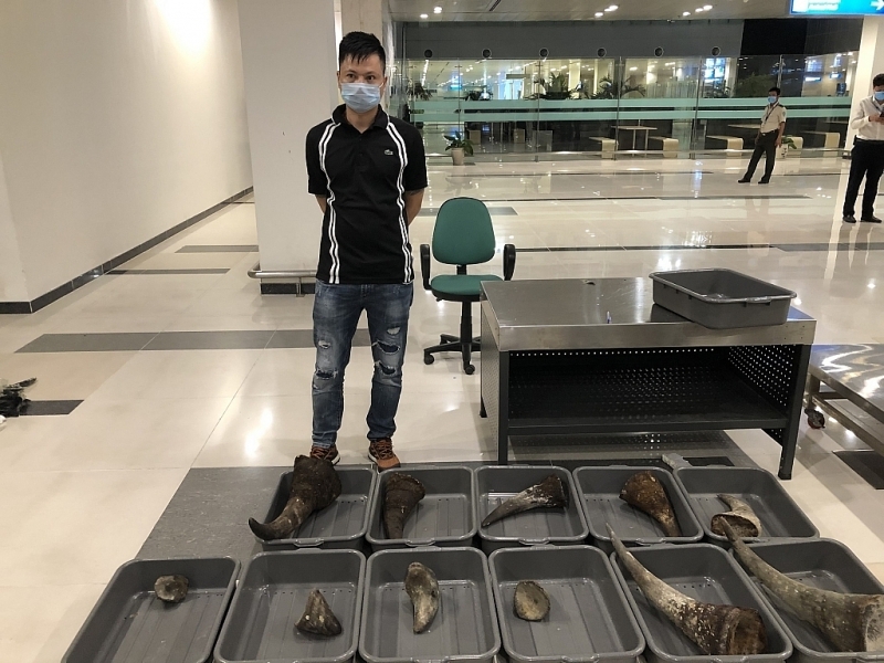 Do Thanh Son and smuggled rhino horn were seized by Can Tho port Customs Branch.
