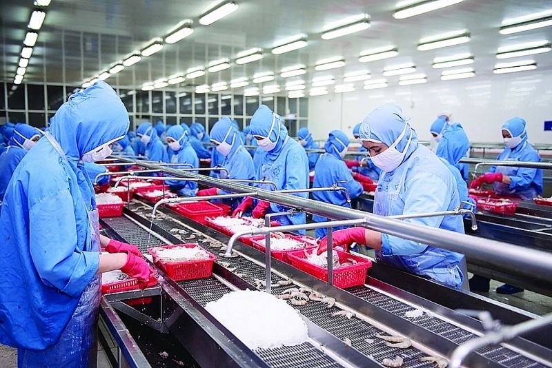 Sao Ta Food Joint Stock Company has restored nearly 100% of workers.
