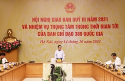Deputy Prime Minister Pham Binh Minh: Need to proactively fight against smuggling at the end of the year