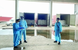 Quang Tri Customs: Ensuring smooth import and export activities during the pandemic