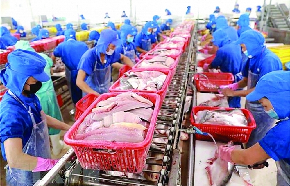 Seafood exports: Expectations from key commodities