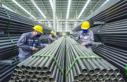 Steel enterprises look for "promising partners" from exports