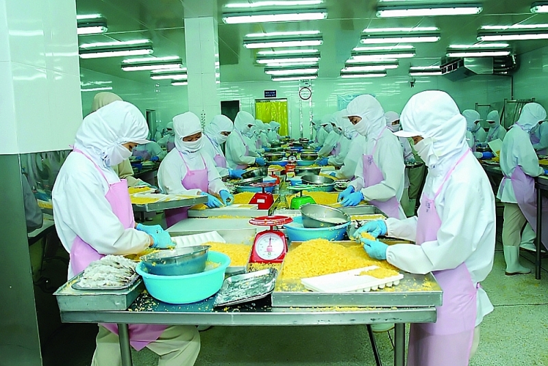 Processing pangasius for export. Photo provided by enterprise 