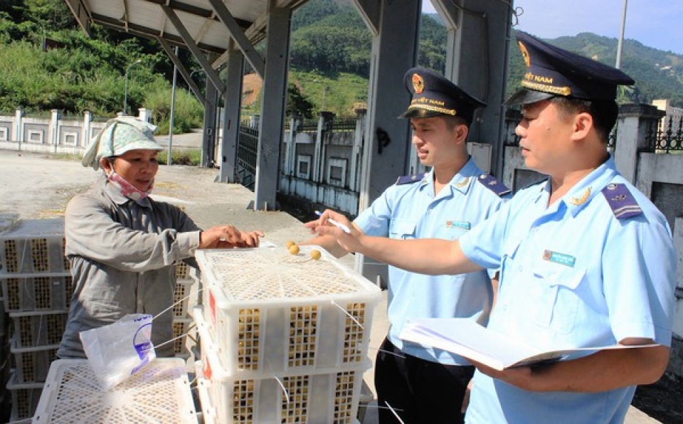 collect state revenue in ha giang customs strongly affected from business operation