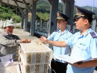 Collect State Revenue in Ha Giang Customs: Strongly affected from business operation