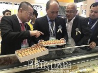 Exports of shrimp to Taiwan quite stable