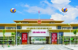 Lang Son: Ready to pilot import of herbal ingredients through Chi Ma border gate