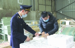 Lang Son Customs prevents smuggling and trade fraud at the end of the year