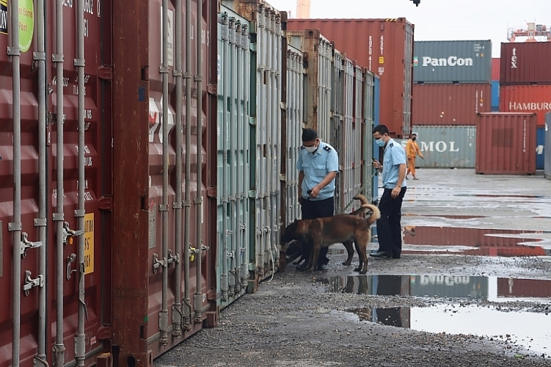Officers of Customs Enforcement Team (Hai Phong Customs Department) uses sniffer dog to patrol and control Hai Phong port area. Photo: T.Bình
