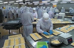 Seafood enterprises lack capital to buy production materials
