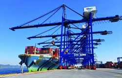 Customs promotes import and export through Hai Phong international container port
