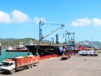 The Deputy Prime Minister directed to handle  foreign tobacco shipment at Quy Nhon port