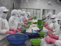 Enterprises shift round to China when exporting Pangasius to US and EU grew negatively