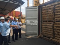 Searching 25 containers of fraudulent export wood at Cat Lai port