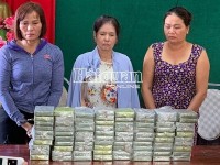 Hai Phong Customs coordinate to seize two bricks of heroin
