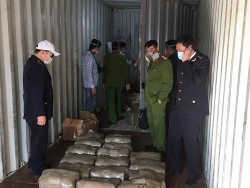 Cannabis hidden in secret bulkhead of container at Hai Phong