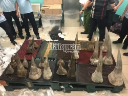 Customs seizes nearly 100kg of smuggled rhino horn