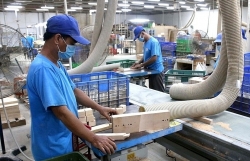 Enterprises return to production, tax collection exceeds the estimate