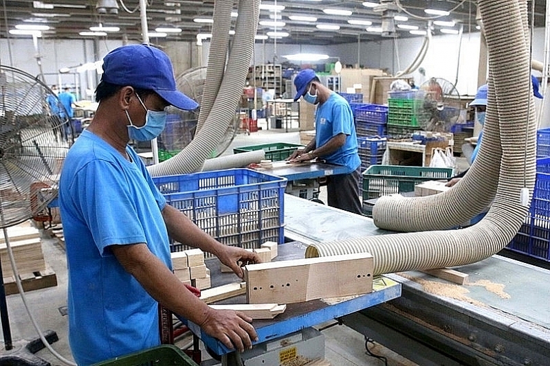 Many enterprises have recover production and achieve quite good results. Photo: Ngọc Hiền