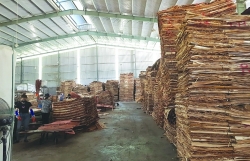 Controlling the risk of importing wood from China