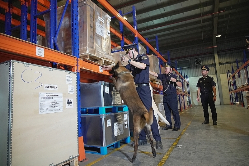 Training detection dog at training center under Anti-smuggling and Investigation Department (General Department of Vietnam Customs). Photo: Văn Tá