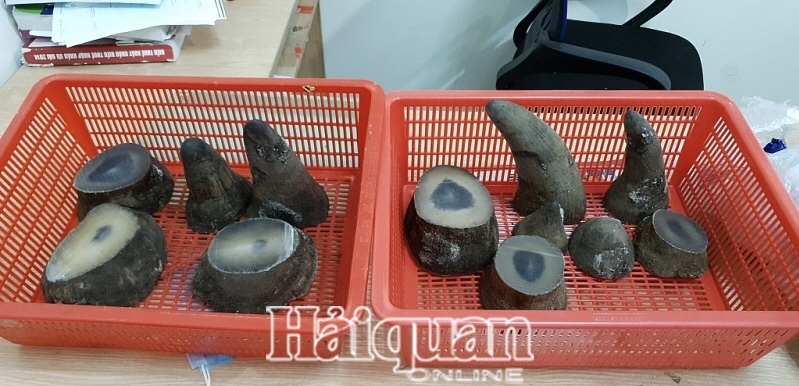 Arrested a man smuggling 6,22 kg rhino horn